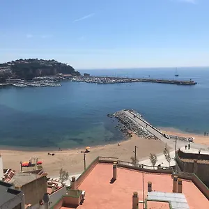 Elm , Sant Feliu de Guíxols España